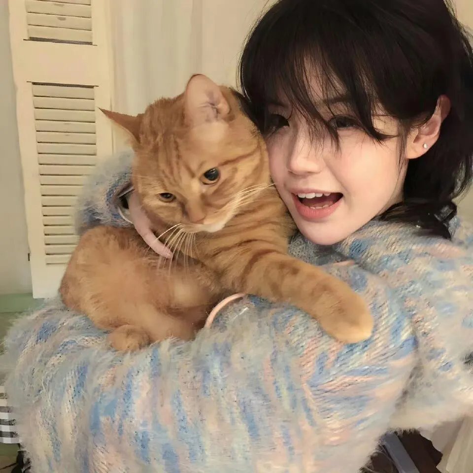 带你去看北极光