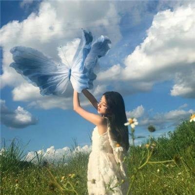 芒果和红色轮椅